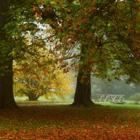 Осенний этюд :: Юрий. Шмаков