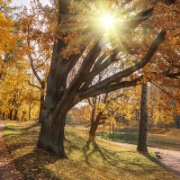 Гатчина. Осень :: Владимир Колесников