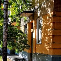 Цвет осени :: Любимова Ольга 