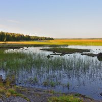 ** :: Александр Хаецкий ** :: Александр Хаецкий