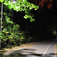 Осень в парке :: Александр Конов