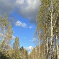 Сентябрь :: Натали Королева