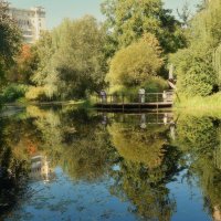 Старинный пруд в Аптекарском огороде. :: Татьяна Помогалова