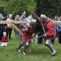 Рыцарский бой :: Регина 