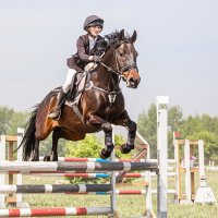 Конкур :: SanSan 