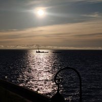 Залив :: Андрей 