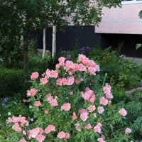 Осенние дворики :: Ольга Осенние дворики :: Ольга