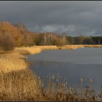 Осенняя рапсодия... :: Aleksandr Gal