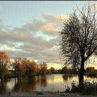 *** :: Aleksandr Gal *** :: Aleksandr Gal