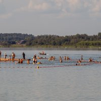 Лето на озере :: Сергей Цветков