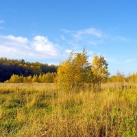 Разбросала осень краски. :: Лия ☼