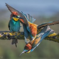 Изгнание :: Александр К.