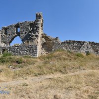 Природа Крыма :: Amazing Cosmea