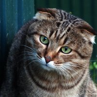 ** :: Зоя Мишина ** :: Зоя Мишина