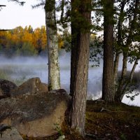 Туманным утром :: liudmila drake