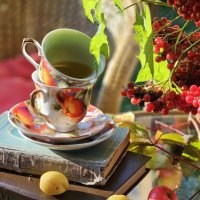 Утро в саду. :: Галина Левина