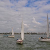 Паруса :: Татьяна Машошина