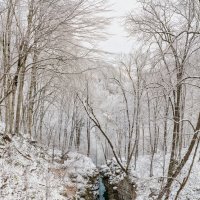 Каньон Ахсинта, Чертов мост, Северная Осетия-Алания. :: Дина Евсеева