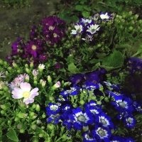 ... :: Azimuth Norov ... :: Azimuth Norov