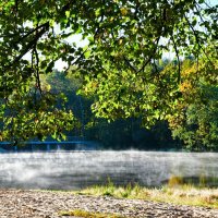 Сентябрьское утро с туманом над водой (репортаж из поездок по области). :: Милешкин Владимир Алексеевич Сентябрьское утро с туманом над водой (репортаж из поездок по области). :: Милешкин Владимир Алексеевич