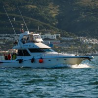 ... :: Жора Житников