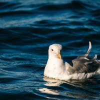 ... :: Жора Житников