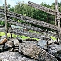 Жердевой забор :: Veera V