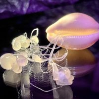 Пришельцы бывают разные :: Андрей Зайцев