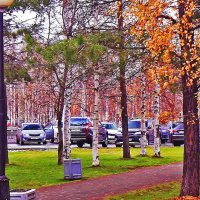 Осеннеде утро в сквере Победы! :: Владимир 