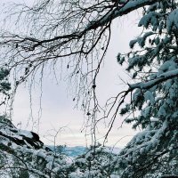 Зимний день :: Георгиевич Зимний день :: Георгиевич