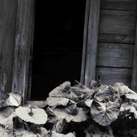 лопухи еще есть, но дома - нет :: Николай Семёнов лопухи еще есть, но дома - нет :: Николай Семёнов