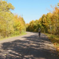 По дорогам осени... :: Андрей Заломленков По дорогам осени... :: Андрей Заломленков