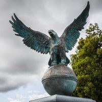 Орёл :: Nyusha .