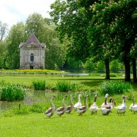 В парке замка Анси-ле-Фран :: Георгий А