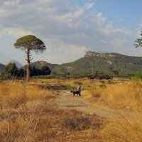 Полуостров Малая Азия :: Gen Vel Полуостров Малая Азия :: Gen Vel