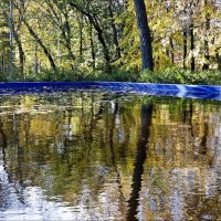 Осеннее отражение :: Валентина *