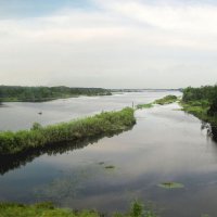 Река Суда :: Александр Ильчевский Река Суда :: Александр Ильчевский