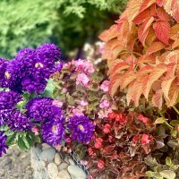 Зарисовка осени. :: Alexey YakovLev