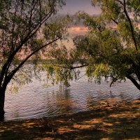 ** :: Анатолий Уткин ** :: Анатолий Уткин