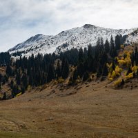 Осенний день в горах :: Алексей Большаков