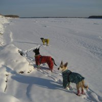 Прогулки :: Anna Ivanova Прогулки :: Anna Ivanova