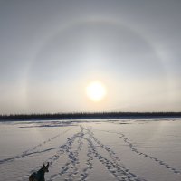 Гало :: Anna Ivanova