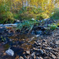 Пейзаж с ручьём :: Александр Синдерёв
