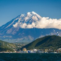 ... :: Жора Житников