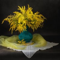 Натюрморт с золотарником. :: Лилия *