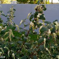 В ростовском экопарке Первая миля :: Нина Бутко В ростовском экопарке Первая миля :: Нина Бутко