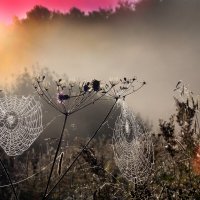 Царицыно 10 сентября :: Михаил Бибичков