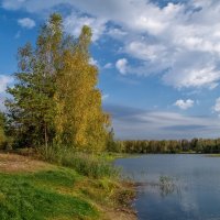 Бабье лето 4 :: Андрей Дворников Бабье лето 4 :: Андрей Дворников