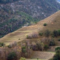 Южный склон... :: M Marikfoto