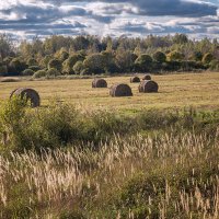 осенний пейзаж :: Galina осенний пейзаж :: Galina